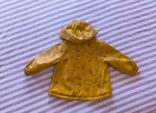 Conjunto 2 Chaquetas Dinosaurios 12/18 meses