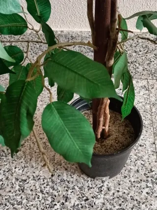 Planta artificial decorativa