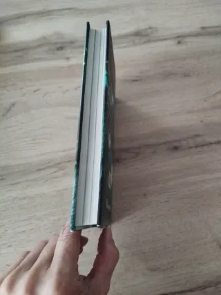 Fairy Oak El Secreto De Las Gemelas