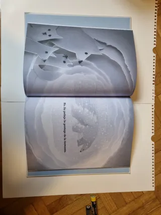 Libro infantil "Un oso polar en la nieve"