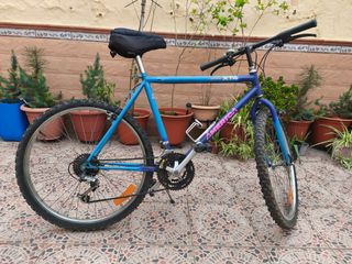 Bicicleta de montaña azul