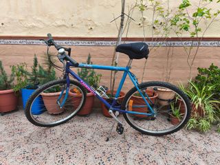 Bicicleta de montaña azul