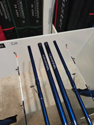 CAÑAS DAIWA PRIME CASTER 3 33-450H BF