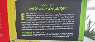 Regrettable Superheroes e Supervillains