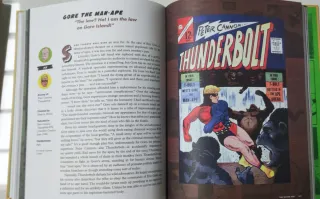 Regrettable Superheroes e Supervillains
