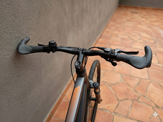 Bicicleta Riverside 900