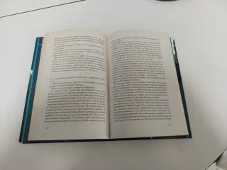 CIENTO Y UN DIAS - CRONICA DE UNA GUERRA