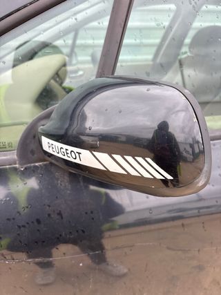 Espejos retrovisores Peugeot 307