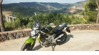 Suzuki Gladius Verde