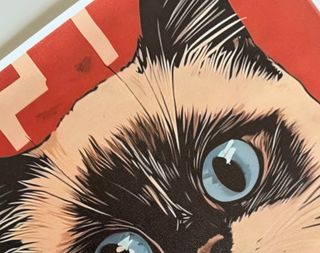 Poster Tela Gatto Ramen Occhi Azzurri 30x40