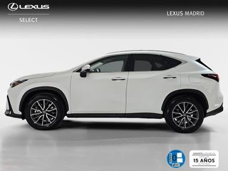 Lexus NX 450h+ Premium+ 4WD