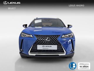 Lexus UX 300e Business