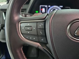 Lexus UX 300e Business