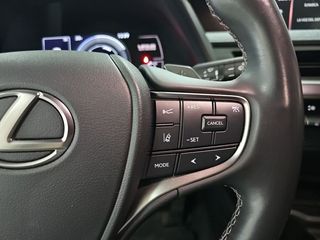 Lexus UX 300e Business