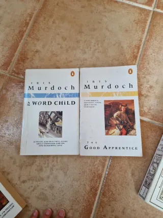 Lote Libros Anita Brookner, Iris Murdoch, Andy McN