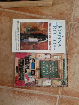 Lote Libros Anita Brookner, Iris Murdoch, Andy McN