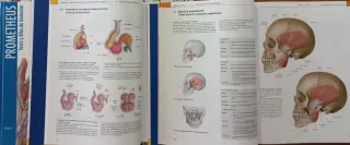 Prometeus. Texto y atlas de anatomía. 3a edición.