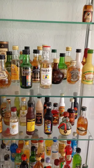 Collezione di bottiglie miniatura di liquori