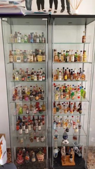 Collezione di bottiglie miniatura di liquori