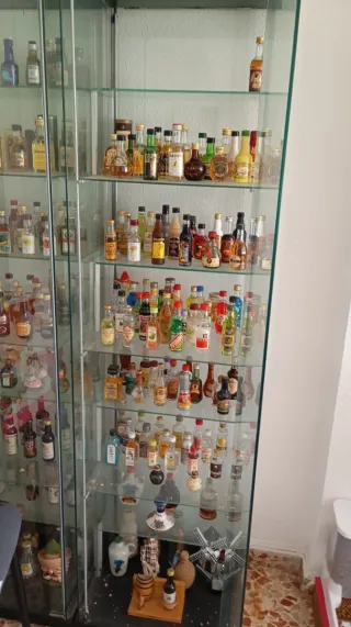 Collezione di bottiglie miniatura di liquori