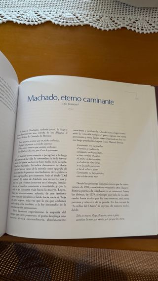 Campos de Castilla y otros universos machadianos