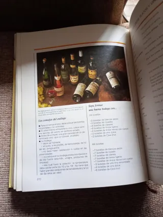 Gran manual del hogar moderno