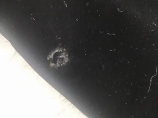 Abrigo de terciopelo negro