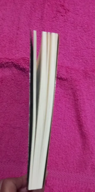 PREMIO EDEBÉ 2015: Mentira (Spanish Edition)