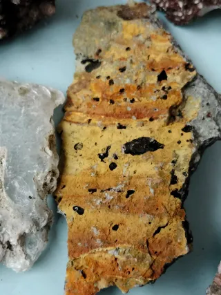 Lotto di minerali naturali