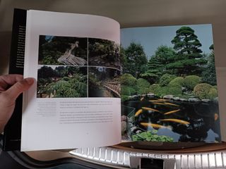 Libro Bonsái: Escultura y Naturaleza