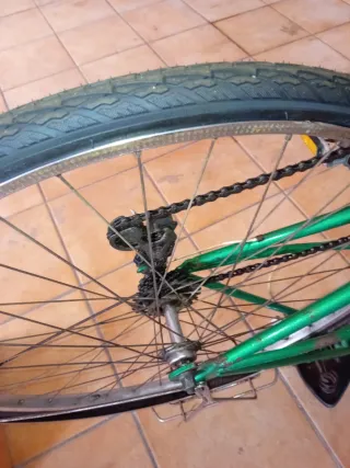 Bicicleta Orbea Laida Verde