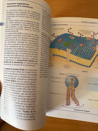 Nutrición. Texto y Altas