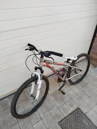 Bicicleta de Montaña BH Spike