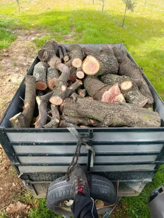 Leña para chimenea o barbacoa