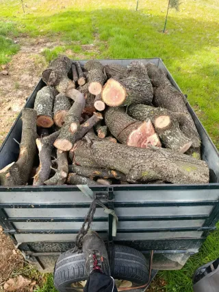 Leña para chimenea o barbacoa