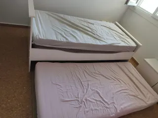 Kit de matrimonio y nido