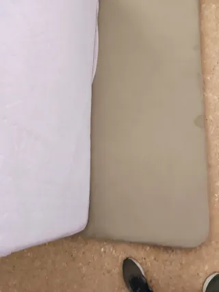 Kit de matrimonio y nido