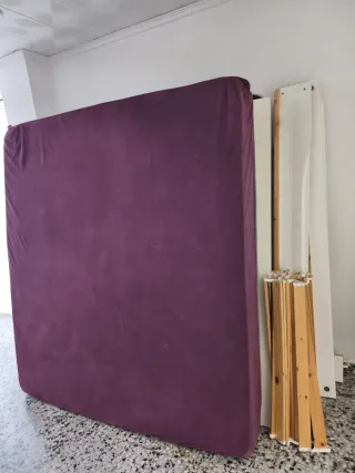 Kit de matrimonio y nido