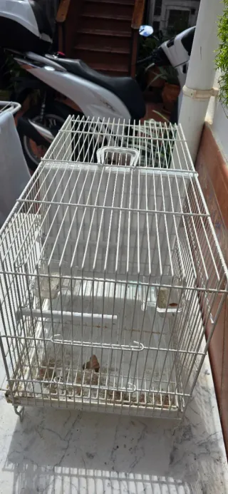 Jaula doble para pájaros,con separador