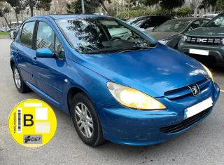 Peugeot 307 pegatina B 1.6gasolina