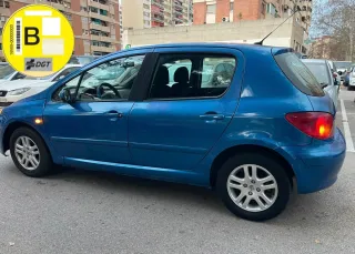 Peugeot 307 pegatina B 1.6gasolina