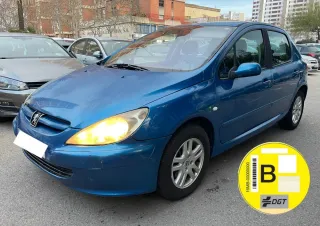 Peugeot 307 pegatina B 1.6gasolina