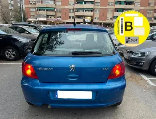 Peugeot 307 pegatina B 1.6gasolina