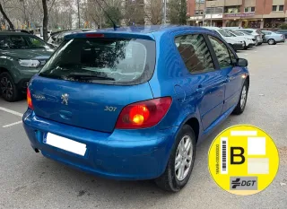 Peugeot 307 pegatina B 1.6gasolina
