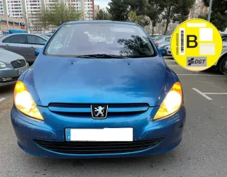 Peugeot 307 pegatina B 1.6gasolina