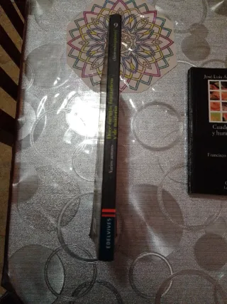 Doce cuentos fantásticos y de misterio (Spanish...