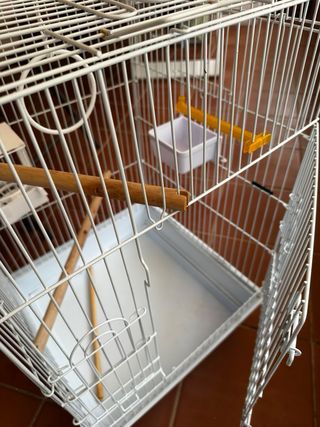 Jaula para pájaros (canarios, loros)