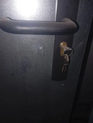 Puerta galvanizada con manilla y llaves 1'07 ancho