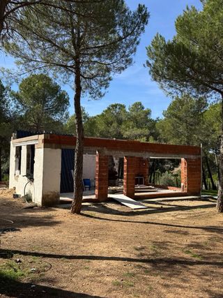 Terreno rústico con olivar y pinar en venta