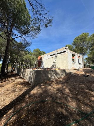 Terreno rústico con olivar y pinar en venta